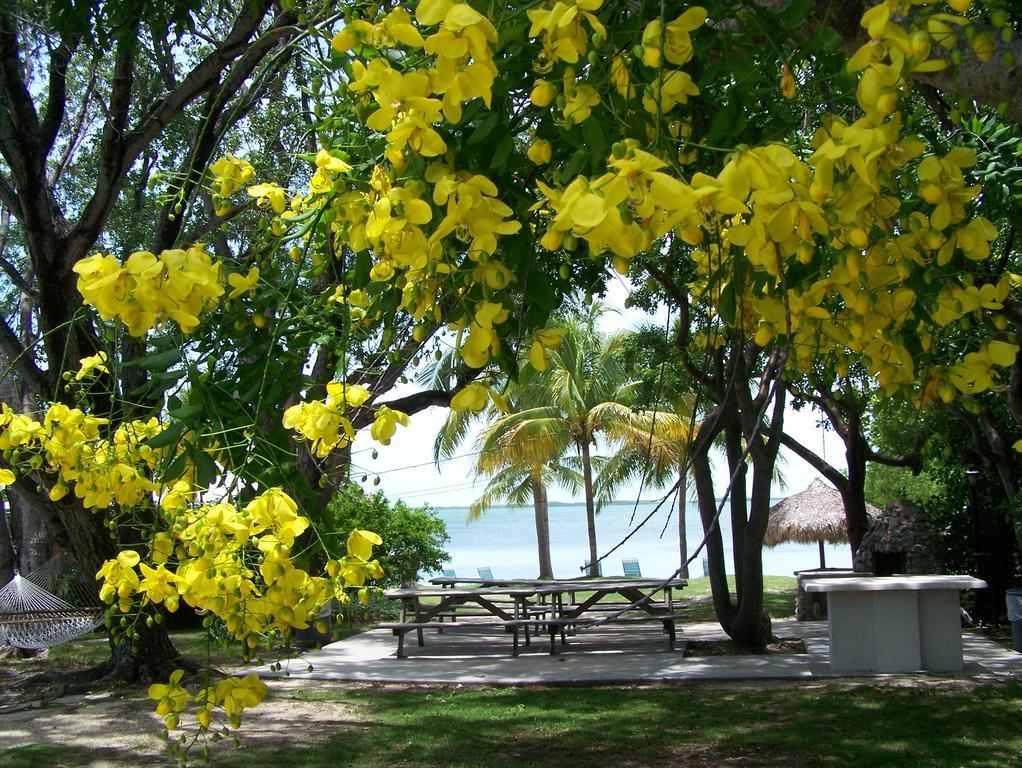 Rock Reef Resort คีย์ลาร์โก ภายนอก รูปภาพ